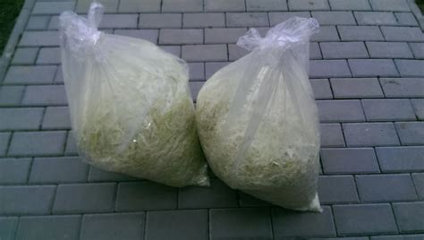 Simple cabbage pickling recipe