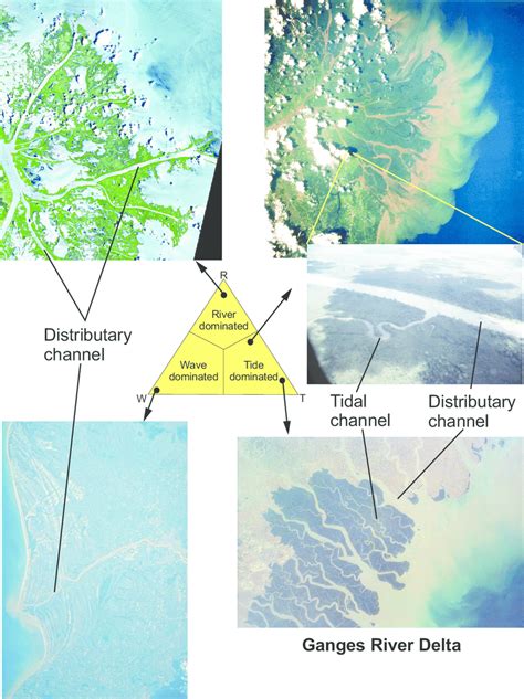 Image result for Delta Classification Scheme