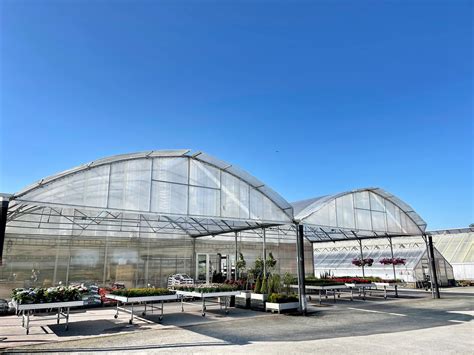 Toradh íomhá ar Rose Designs to Draw