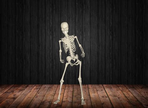 Afbeeldingsresultaten voor Skeleton Raster Line Polygon to Line