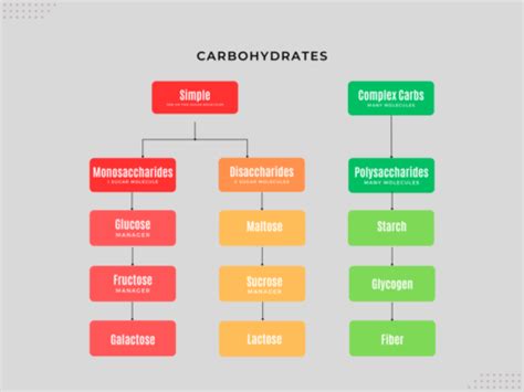 Image result for Complex vs Simple Carbohydrates Graph