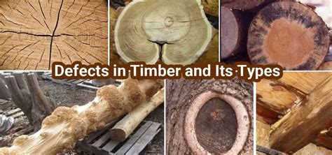 Afbeeldingsresultaten voor Timber Defects