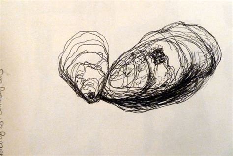 Toradh íomhá ar Continuous Line Drawing Shell