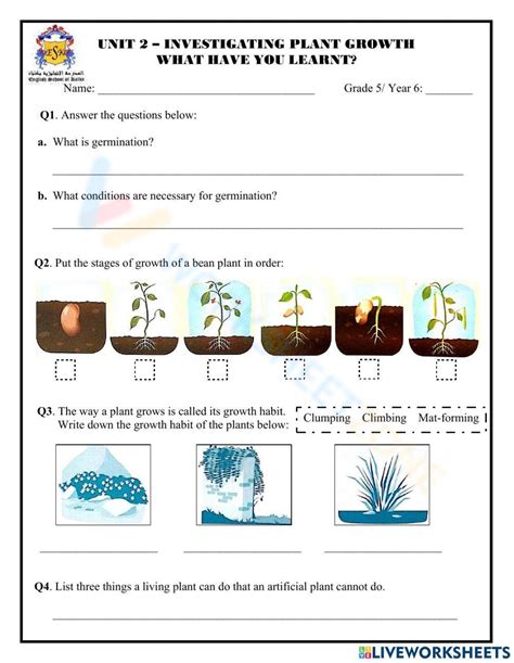 Grade One Science Worksheet に対する画像結果