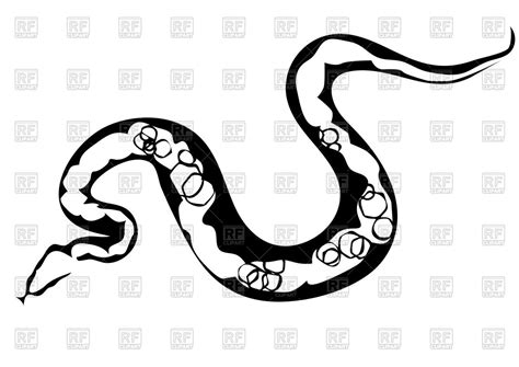 Image result for Python Snake Drawing Easy