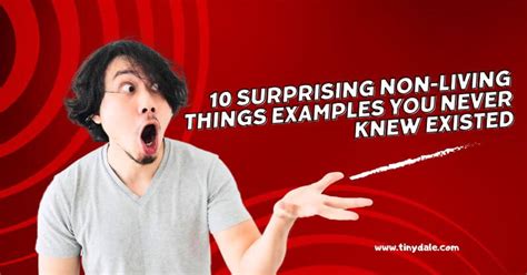 Afbeeldingsresultaten voor Example of a Thing