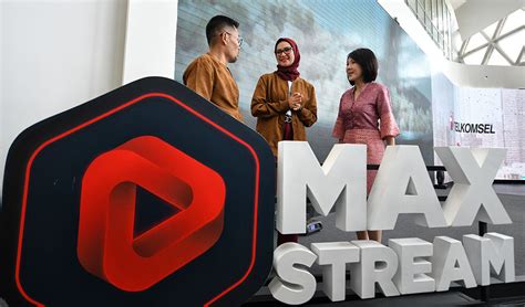 MaxStream Vector に対する画像結果