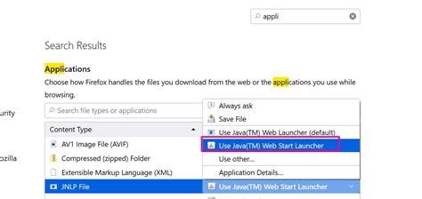 Image result for Java Web Launcher Version 8 Startup