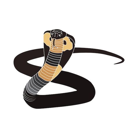 Toradh íomhá ar Snake Icon Face