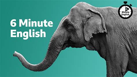 Image result for Learning English Vocabulary