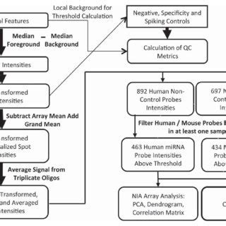Microarray Simple Diagram に対する画像結果