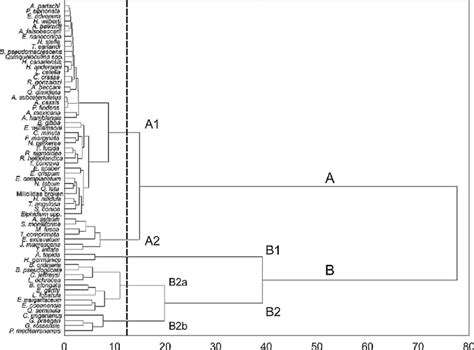 Image result for R Cluster Dendrogram