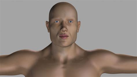 Image result for Muscle Body 3D Models