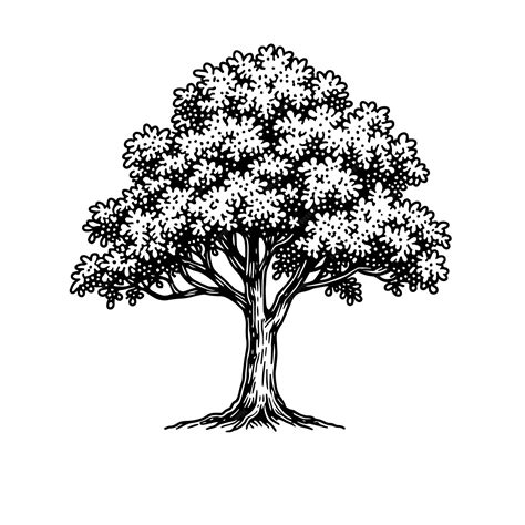 Vector Illustration of a black and white drawing of a tree | Premium AI ...