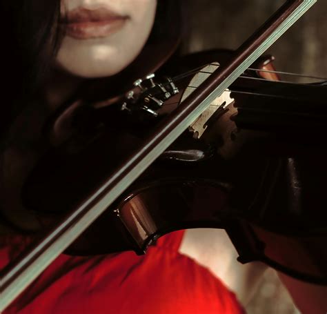 Image result for Fix Projector