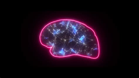 Indoor Brain Animation に対する画像結果