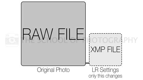 Image result for Raw File Format Full Form