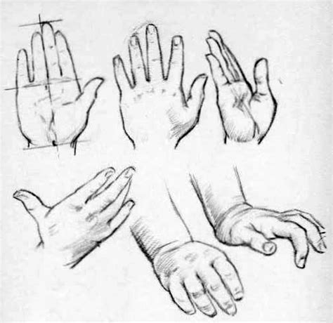 Image result for Draw Hand Reference