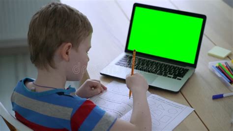 Image result for Green Colour Boy Using Computer