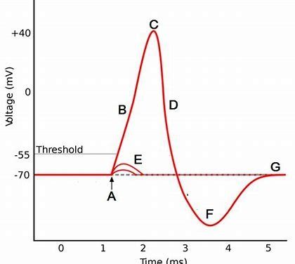 Afbeeldingsresultaten voor CNET Threshold Graph