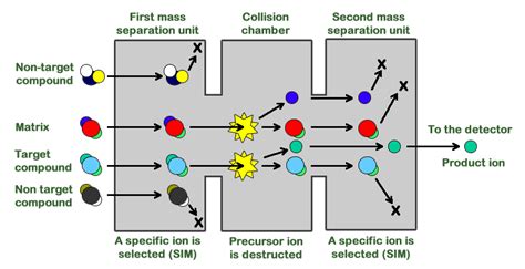 Drug Screening Process に対する画像結果