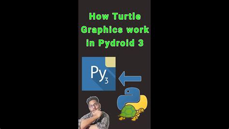 Image result for How to Run Turtle Graphics On Python