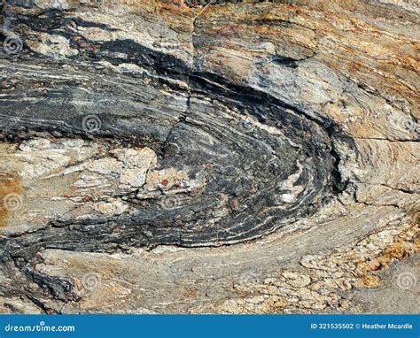 Image result for Syncopation Rock Pattern