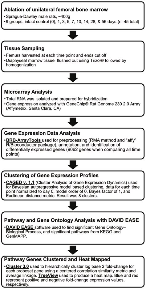 Image result for Microarray Data Flow Chart
