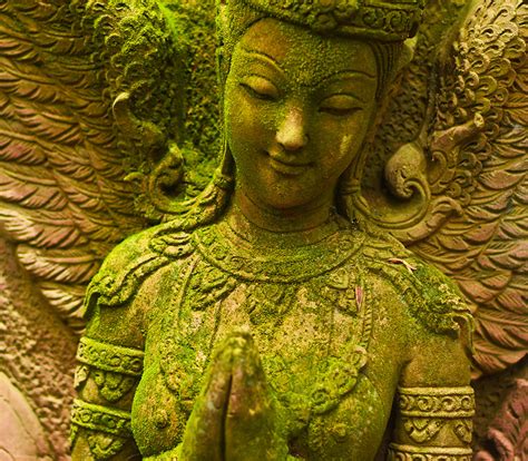 Image result for Harmonic Universe