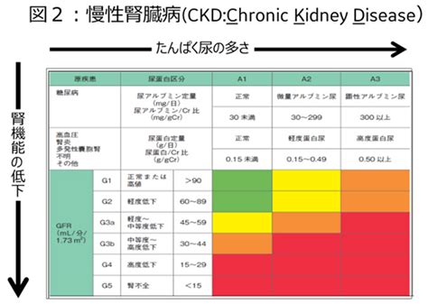 Image result for CKD ALR