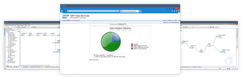 Image result for SAP Data Stool