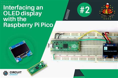 Image result for Connecting a OLED Display Module for Raspberry Pi 5