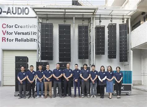 Image result for Dual Line Array