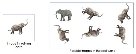 Overfitting Computer Vision に対する画像結果