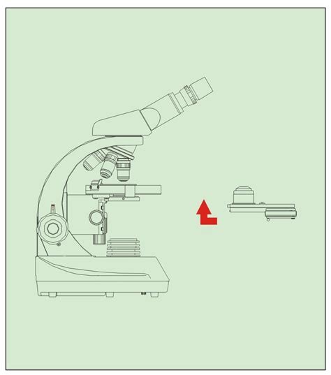 Phase Contrast Microscope Light Path に対する画像結果