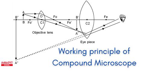 Image result for Compound Microscope Construction