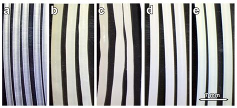 Image result for Cache Valley Polygomist Compound