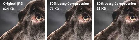 Image result for Example of Lossy Compression