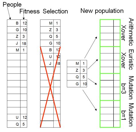 Algorithm Biology に対する画像結果