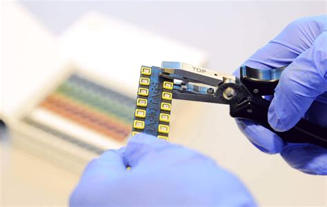 Image result for Lab Mouse Ring Tag