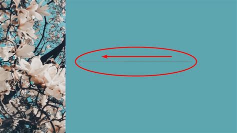 Create a Transparency in InDesign に対する画像結果