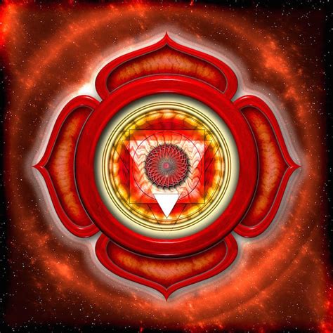 Image result for Root Base Chakra