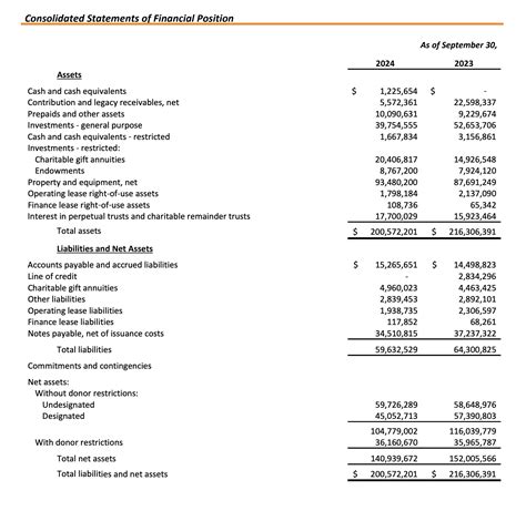 Image result for NonProfit Financial Statement Examples