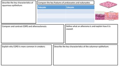 Applied Science BTEC Coursework Biology に対する画像結果