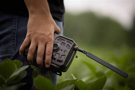 Toradh íomhá ar Moultrie Trail Camera Problems