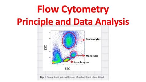 Image result for Flow Cytometry Analysis Icon