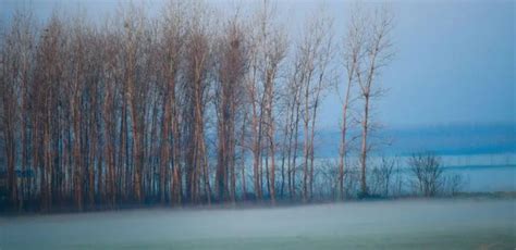 Toradh íomhá ar Different Types of Fog