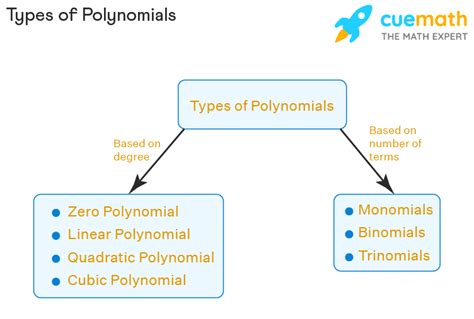 Image result for Polynomial Function Types