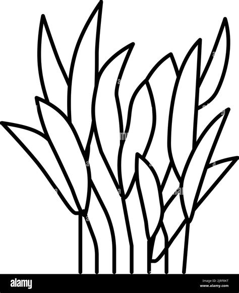 Afbeeldingsresultaten voor Icon of Java