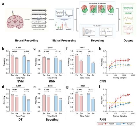 Neural Decoding Classification Difference に対する画像結果